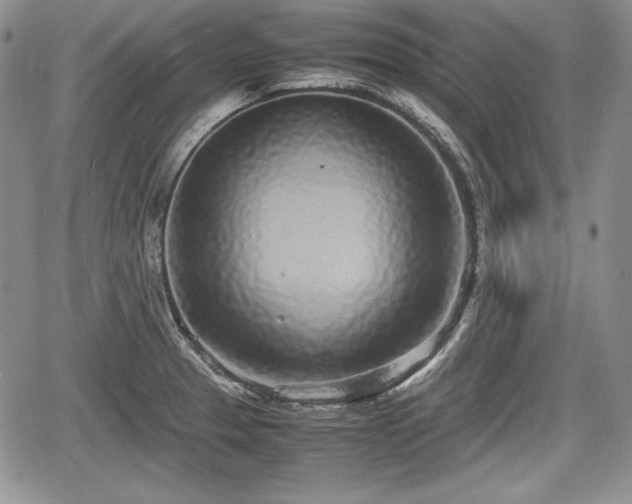 X0000067911329200604171329