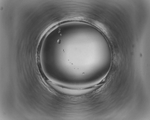 X0000067911332200604171329