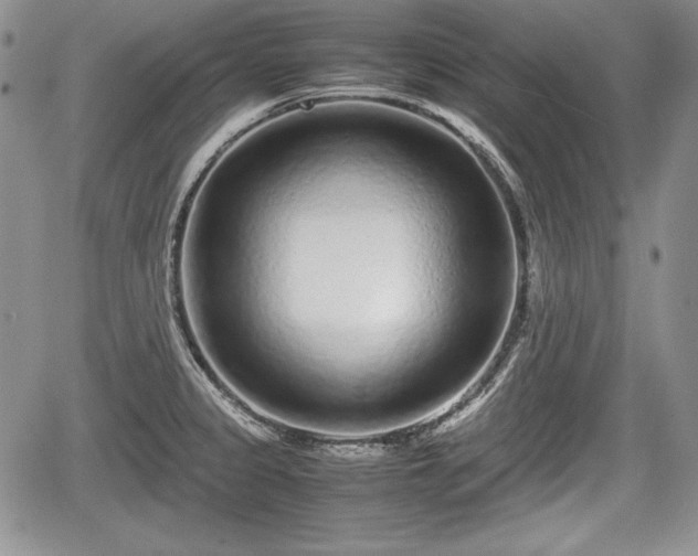 X0000067911333200604171329