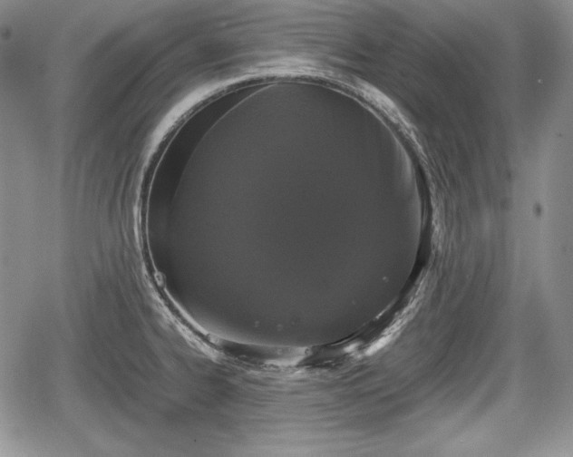 X0000067911334200604171329