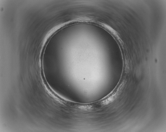 X0000067911335200604171329