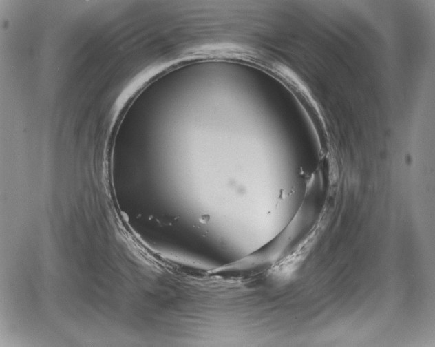 X0000067911336200604171329