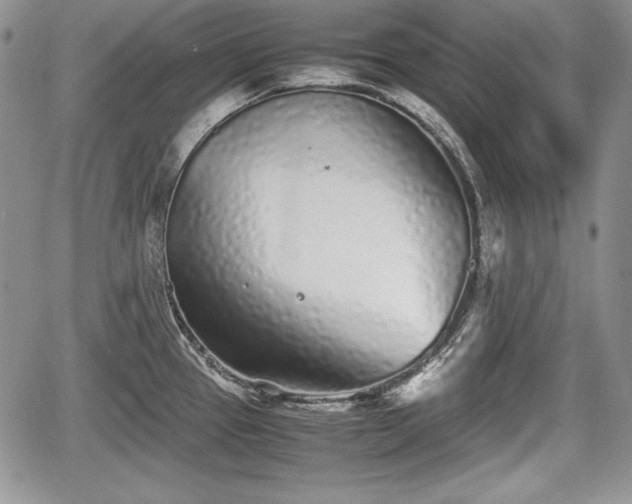 X0000067911337200604171329