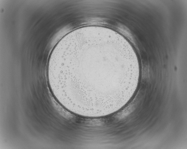 X0000067911338200604171329