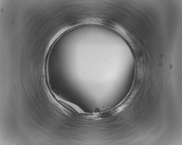 X0000067911339200604171329