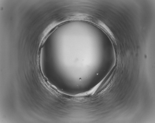 X0000067911340200604171329