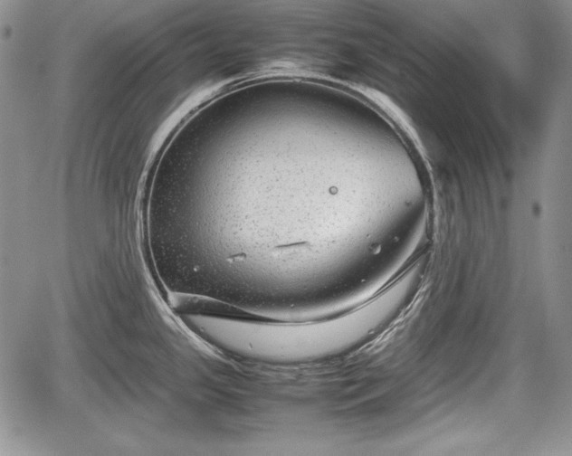 X0000067911341200604171329