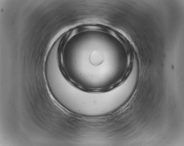 X0000067911342200604171329