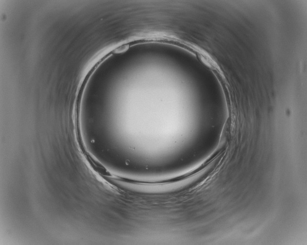 X0000067911343200604171329