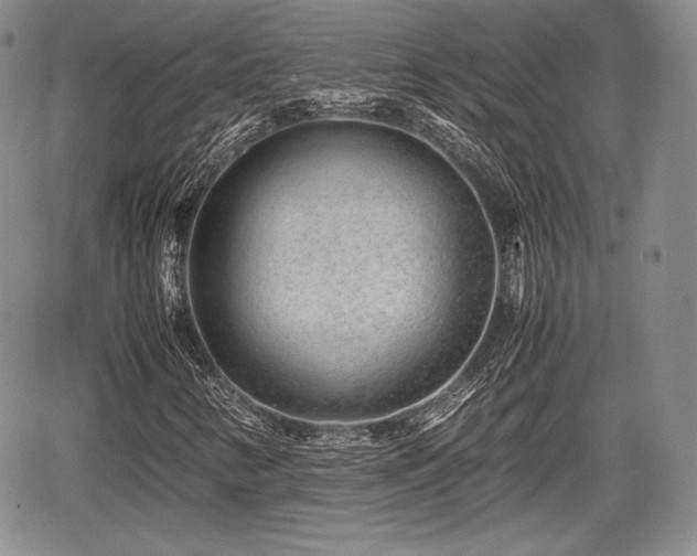 X0000067911346200604171328