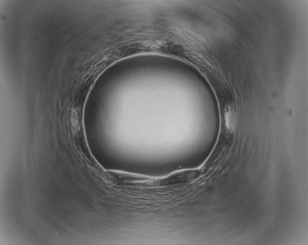 X0000067911347200604171328