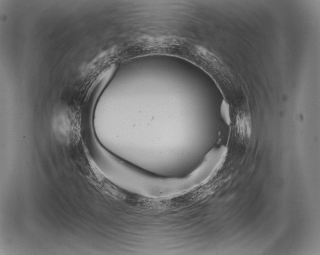 X0000067911348200604171328