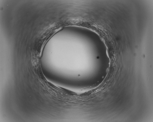 X0000067911349200604171328