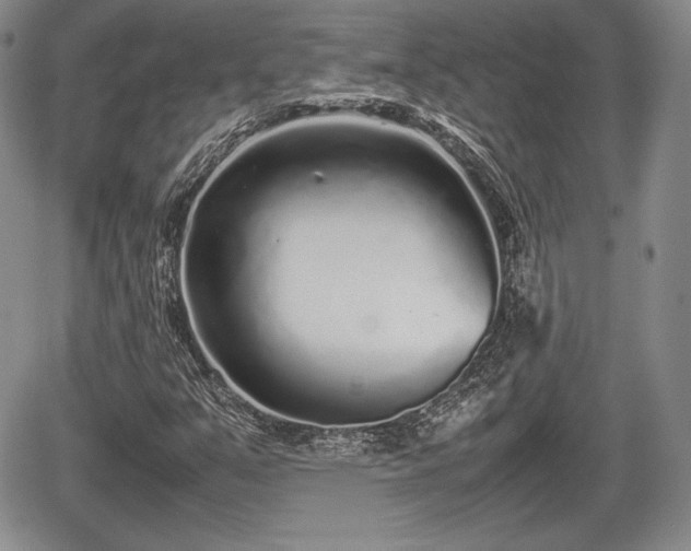 X0000067911351200604171328