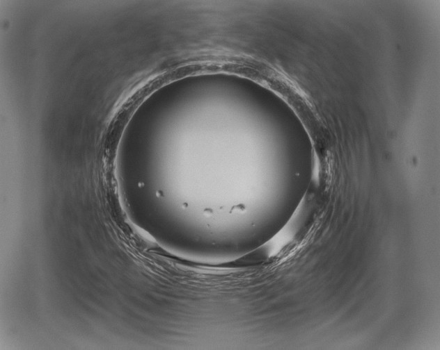 X0000067911352200604171328