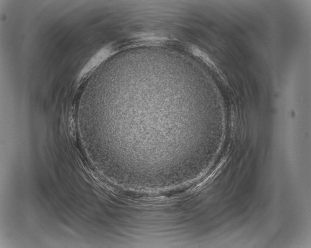 X0000067911354200604171328