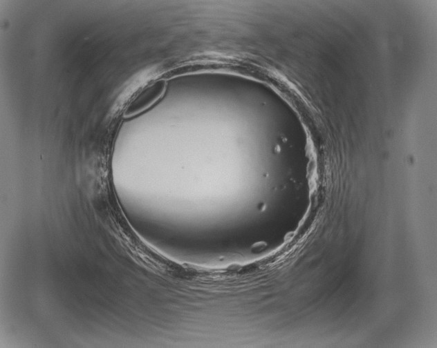 X0000067911355200604171328