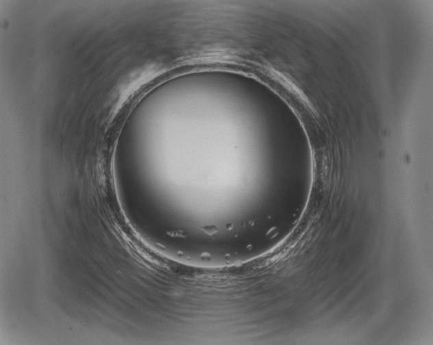 X0000067911356200604171328