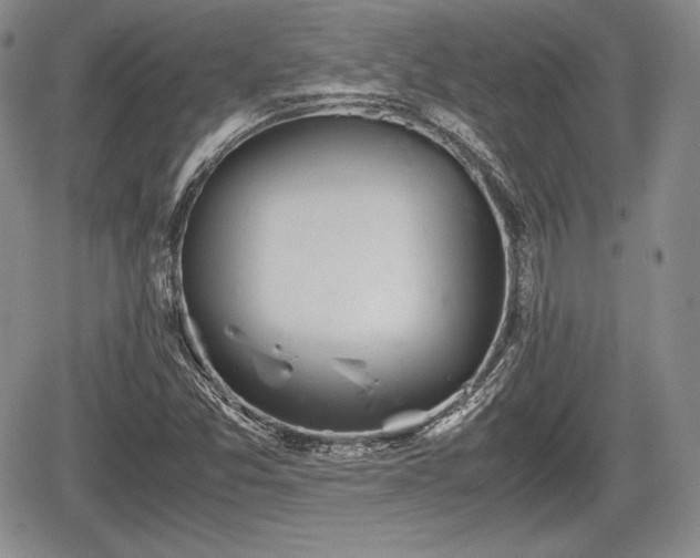 X0000067911357200604171328