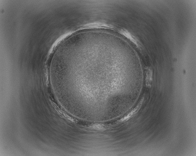 X0000067911358200604171328