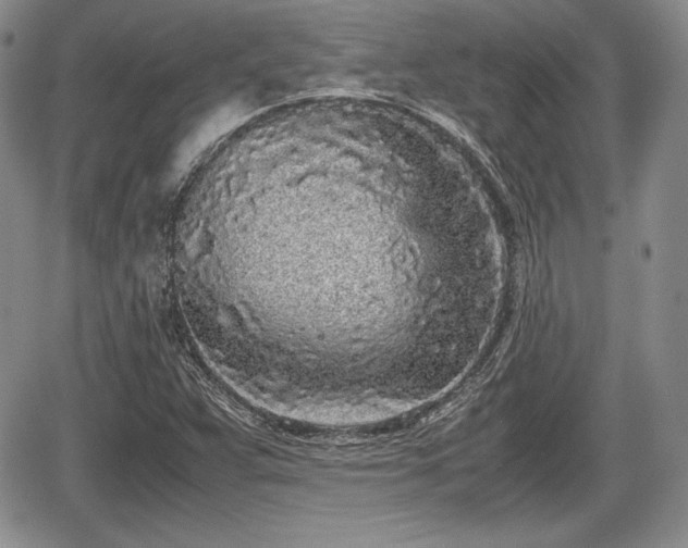 X0000067911359200604171328