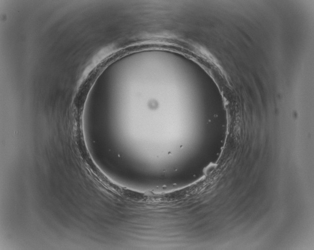 X0000067911360200604171328