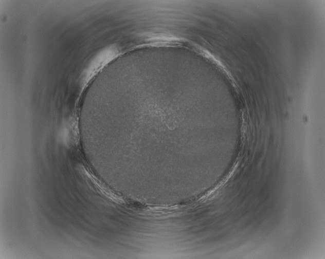 X0000067911362200604171328