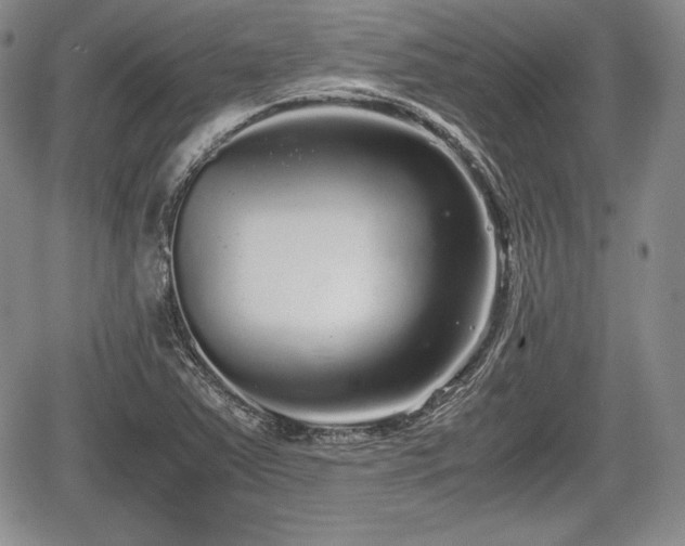 X0000067911363200604171328