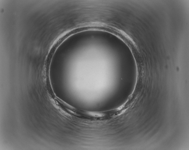 X0000067911364200604171328