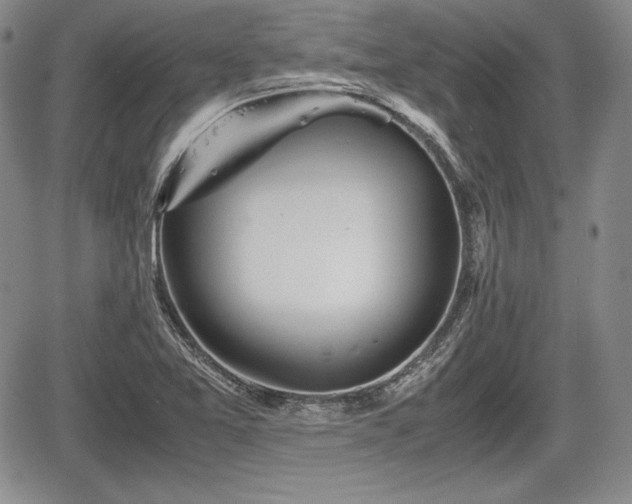 X0000067911365200604171328