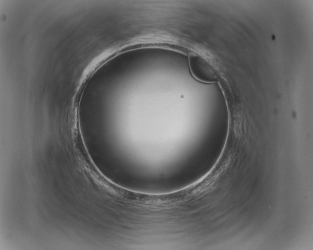 X0000067911366200604171328