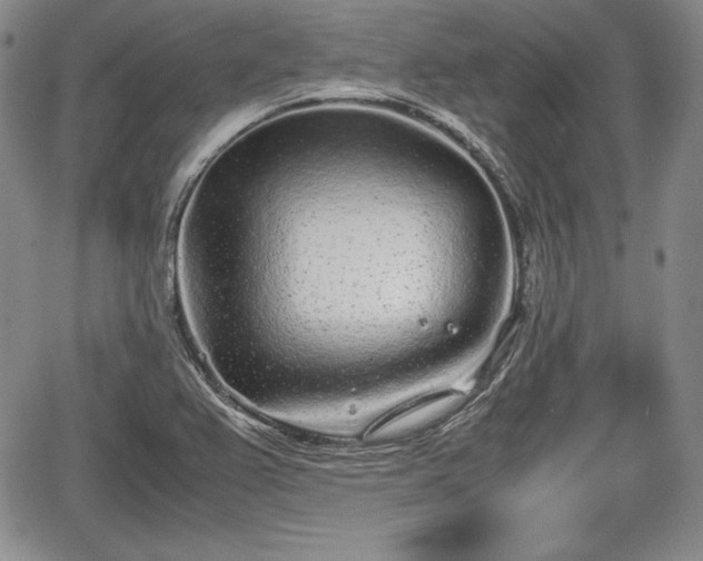 X0000067911367200604171328