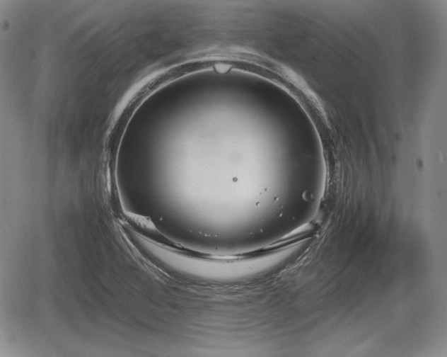 X0000067911368200604171328