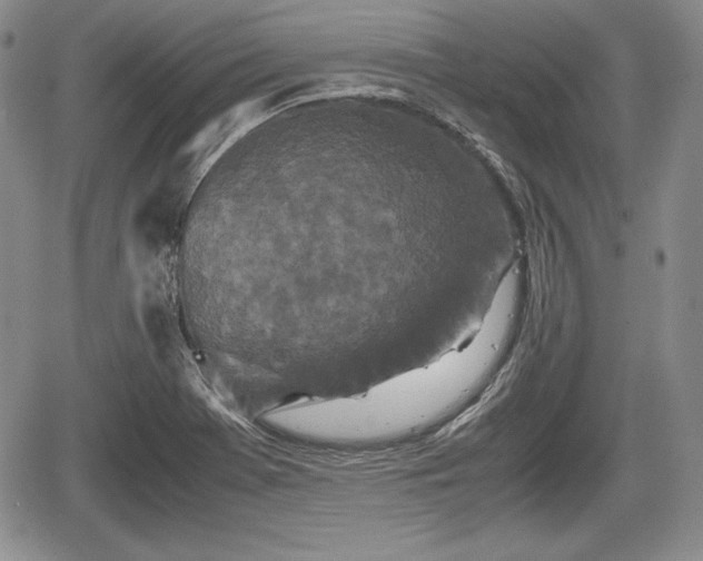 X0000067911369200604171328