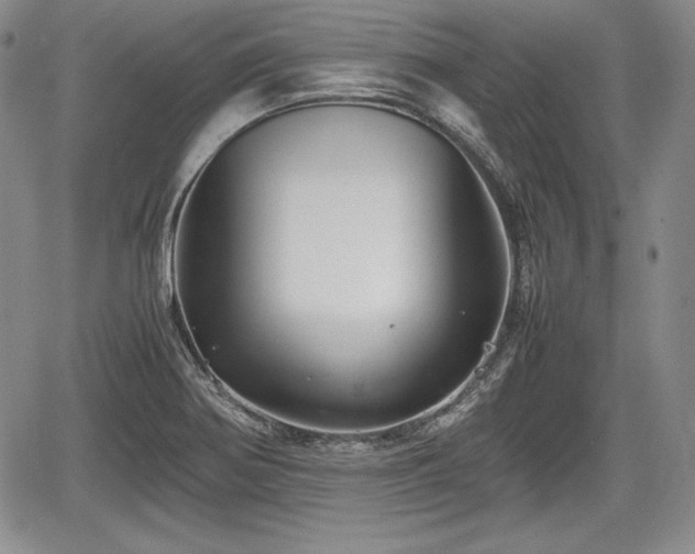 X0000067911370200604171328