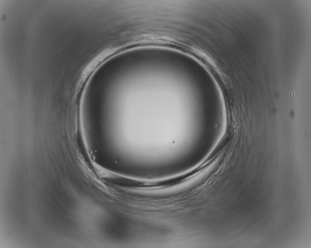 X0000067911371200604171328