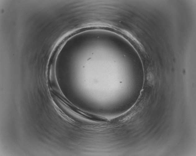 X0000067911372200604171328