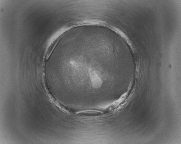 X0000067911373200604171328