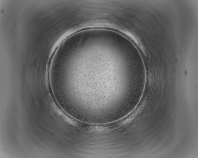 X0000067911374200604171328