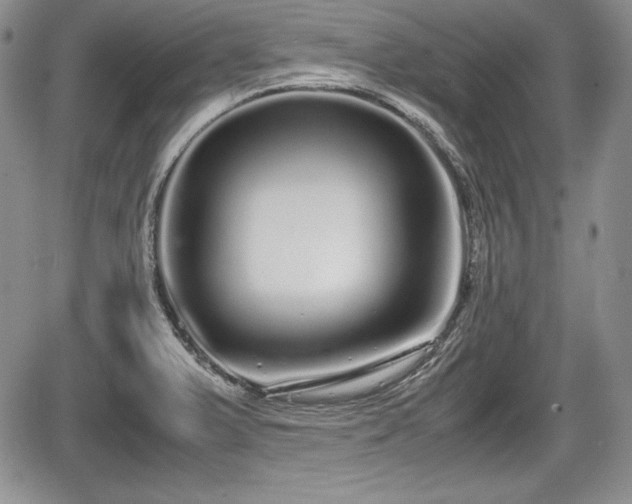 X0000067911375200604171328