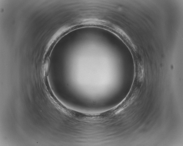 X0000067911376200604171328