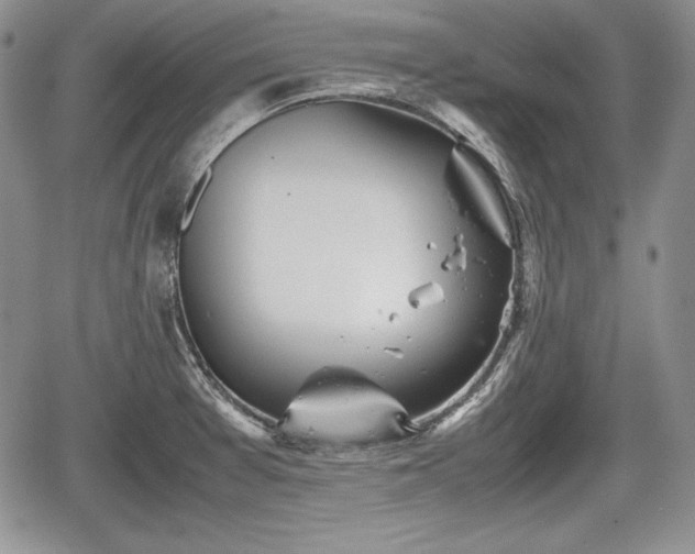 X0000067911377200604171328