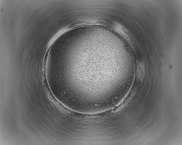 X0000067911378200604171328