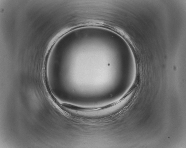 X0000067911379200604171328