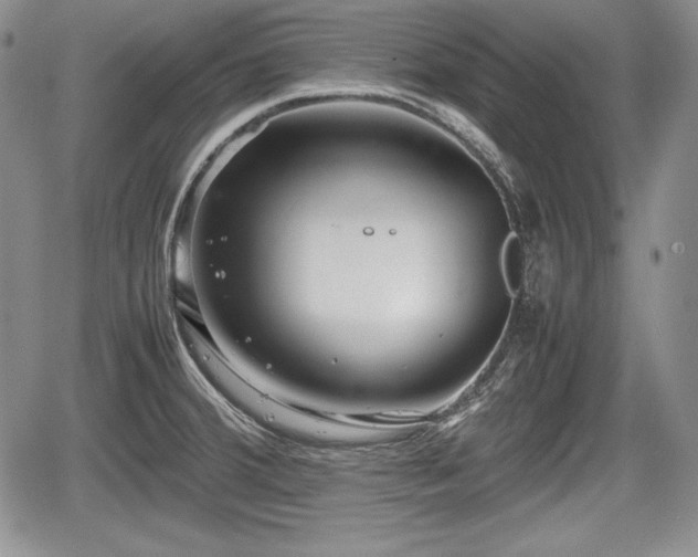 X0000067911380200604171328