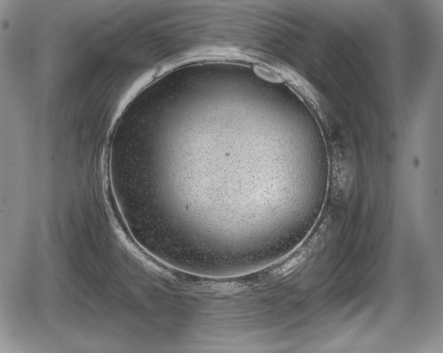 X0000067911382200604171328