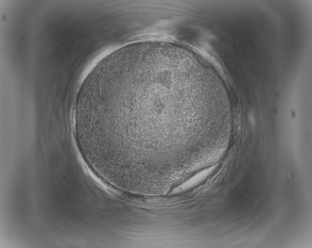 X0000067911383200604171328