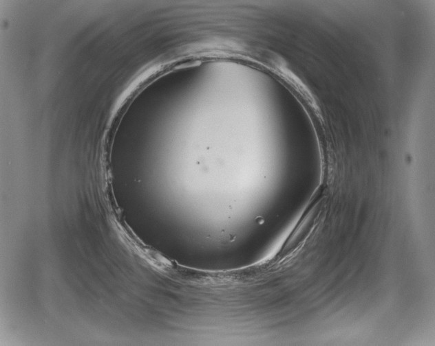 X0000067911384200604171328