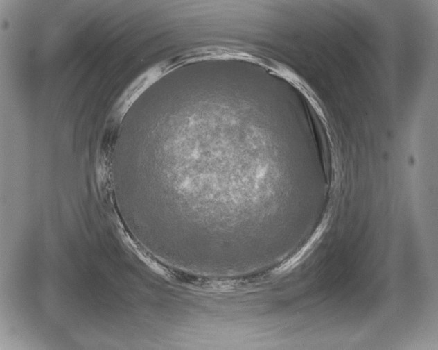 X0000067911385200604171328