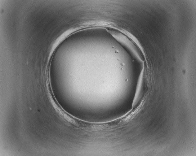 X0000067911389200604171328